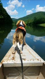 Padfoot Canoing